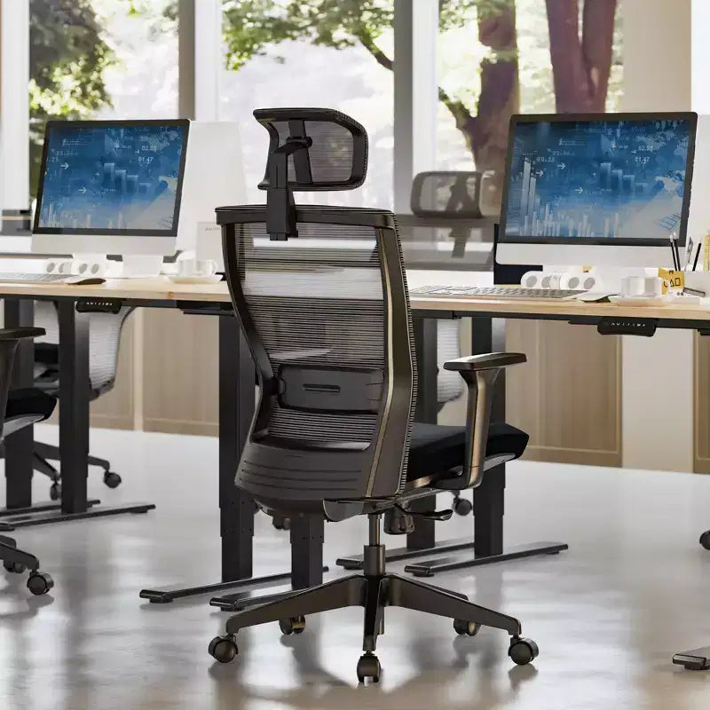 Silla de oficina ergonómica estándar C4, cojín de asiento de espuma, negro